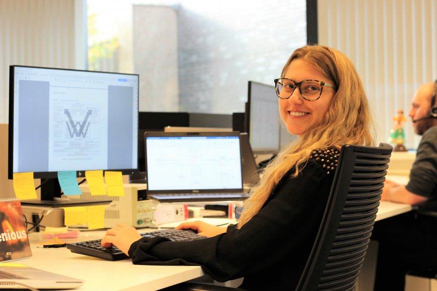 miriam lunardi brace automotive functional safety